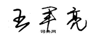 朱錫榮王軍亮草書個性簽名怎么寫