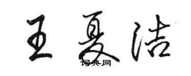 駱恆光王夏潔行書個性簽名怎么寫