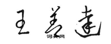 駱恆光王善達草書個性簽名怎么寫