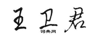 駱恆光王衛君行書個性簽名怎么寫