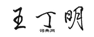 駱恆光王丁明行書個性簽名怎么寫