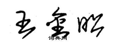 朱錫榮王金昭草書個性簽名怎么寫