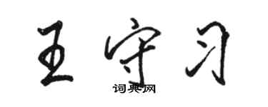 駱恆光王守習行書個性簽名怎么寫