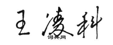 駱恆光王凌科草書個性簽名怎么寫