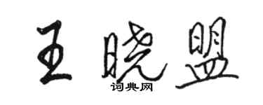 駱恆光王曉盟行書個性簽名怎么寫