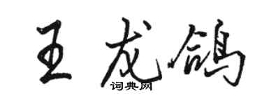 駱恆光王龍鴿行書個性簽名怎么寫