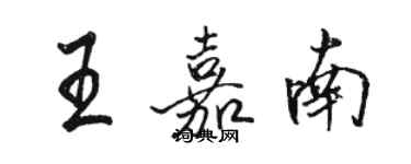 駱恆光王嘉南行書個性簽名怎么寫