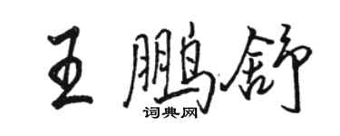 駱恆光王鵬舒行書個性簽名怎么寫