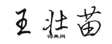 駱恆光王壯苗行書個性簽名怎么寫