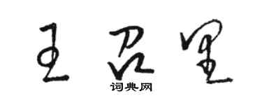 駱恆光王召里草書個性簽名怎么寫