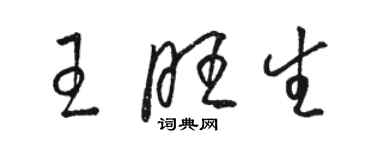 駱恆光王旺生草書個性簽名怎么寫