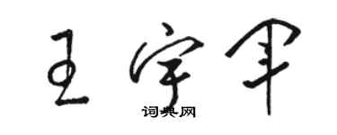 駱恆光王宇軍草書個性簽名怎么寫