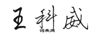 駱恆光王科威行書個性簽名怎么寫