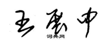 朱錫榮王展中草書個性簽名怎么寫