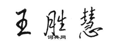 駱恆光王勝慧行書個性簽名怎么寫