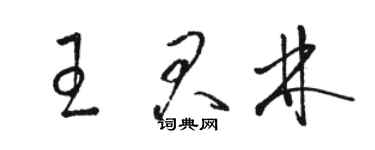 駱恆光王君林草書個性簽名怎么寫