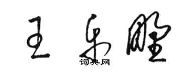 駱恆光王樂野草書個性簽名怎么寫