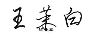 駱恆光王茉白行書個性簽名怎么寫