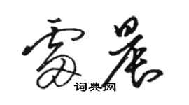 駱恆光雷晨草書個性簽名怎么寫