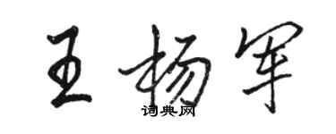 駱恆光王楊軍行書個性簽名怎么寫