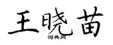 丁謙王曉苗楷書個性簽名怎么寫