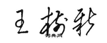 駱恆光王樹新草書個性簽名怎么寫
