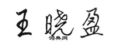 駱恆光王曉盈行書個性簽名怎么寫