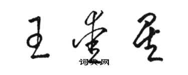 駱恆光王愛星草書個性簽名怎么寫