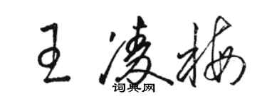 駱恆光王凌梅草書個性簽名怎么寫