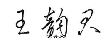 駱恆光王韻君草書個性簽名怎么寫