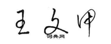 駱恆光王文甲草書個性簽名怎么寫