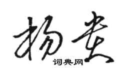 駱恆光楊貴草書個性簽名怎么寫