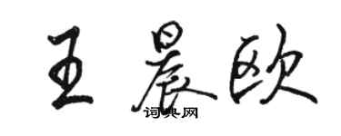 駱恆光王晨歐行書個性簽名怎么寫