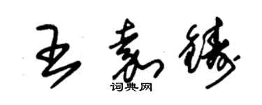 朱錫榮王嘉鑄草書個性簽名怎么寫