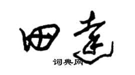 朱錫榮田達草書個性簽名怎么寫