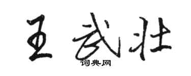 駱恆光王武壯行書個性簽名怎么寫