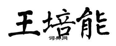 翁闓運王培能楷書個性簽名怎么寫