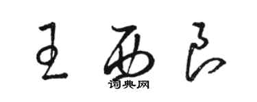 駱恆光王西良草書個性簽名怎么寫