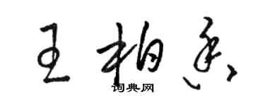 駱恆光王柏香草書個性簽名怎么寫