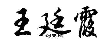 胡問遂王廷霞行書個性簽名怎么寫