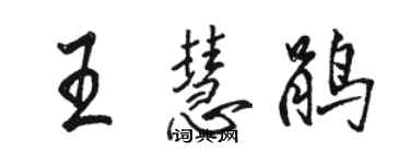 駱恆光王慧鵑行書個性簽名怎么寫
