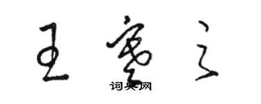 駱恆光王寒之草書個性簽名怎么寫