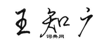 駱恆光王知廣行書個性簽名怎么寫