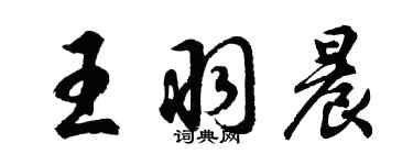 胡問遂王羽晨行書個性簽名怎么寫