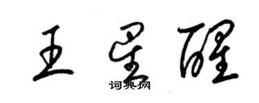 梁錦英王星醒草書個性簽名怎么寫