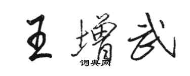 駱恆光王增武行書個性簽名怎么寫