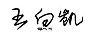 朱錫榮王向凱草書個性簽名怎么寫