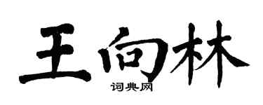 翁闓運王向林楷書個性簽名怎么寫