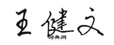 駱恆光王健文行書個性簽名怎么寫