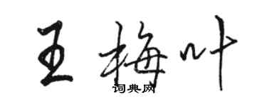 駱恆光王梅葉行書個性簽名怎么寫